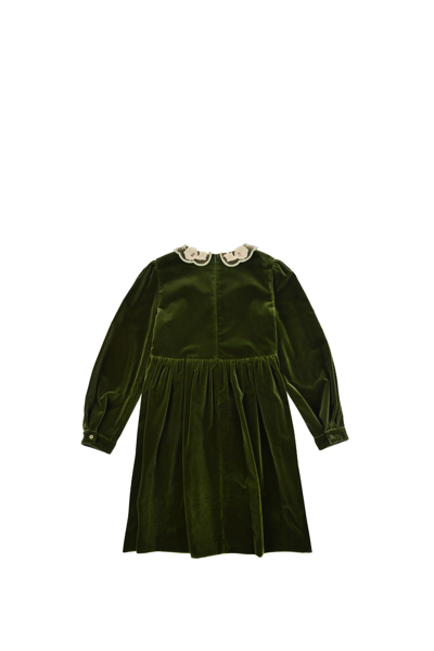 Shop Gucci Velvet Dress In Green