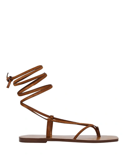 Shop A.emery Nolan Suede Ankle Wrap Sandals In Sienna