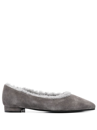 Shop Age Of Innocence Anais Pointed-toe Ballerina Shoes In Grey