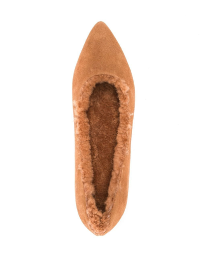 Age Of Innocence Anais Pointed Ballerina Shoes In Brown