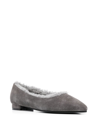 Shop Age Of Innocence Anais Pointed-toe Ballerina Shoes In Grey