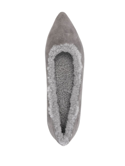 Shop Age Of Innocence Anais Pointed-toe Ballerina Shoes In Grey