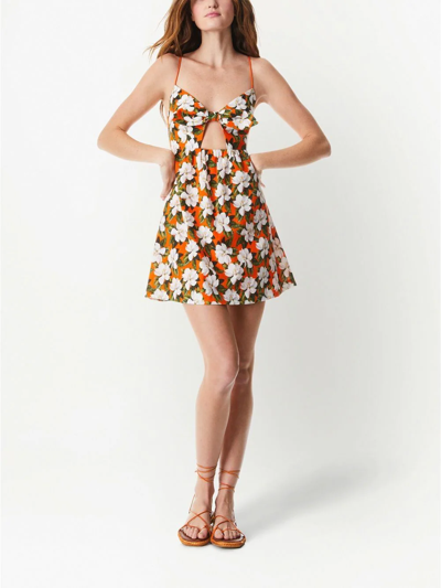 Shop Alice And Olivia Melvina Floral-print Babydoll Dress In Orange