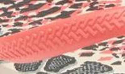 Shop Havaianas Slim Animal Print Flip Flop In Beige/ Coral Fluor