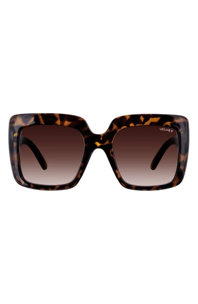 Shop Velvet Eyewear Gina 57mm Square Sunglasses In Tortoise