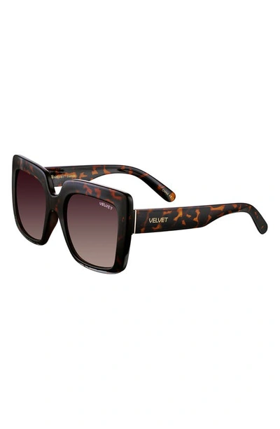 Shop Velvet Eyewear Gina 57mm Square Sunglasses In Tortoise