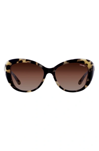 Shop Velvet Eyewear Chrystie 55mm Cat Eye Sunglasses In Grey Tortoise