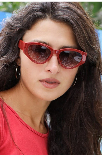 Shop Velvet Eyewear Rosa 52mm Cat Eye Sunglasses In Red