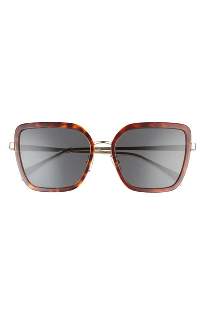 Shop Celine 58mm Butterfly Sunglasses In Dark Havana / Smoke