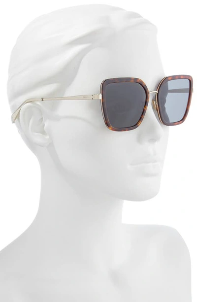 Shop Celine 58mm Butterfly Sunglasses In Dark Havana / Smoke