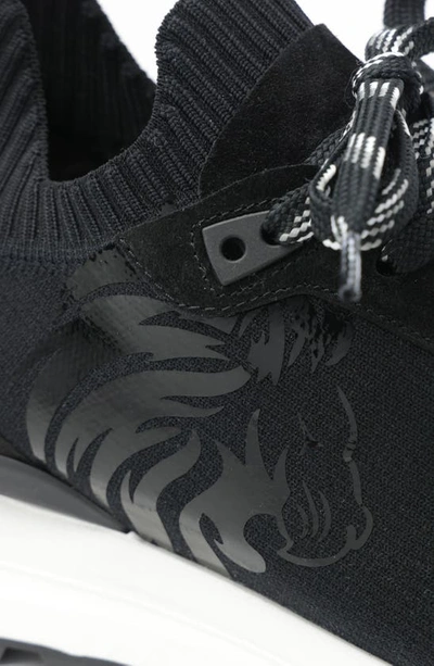Shop Bruno Magli Dion Knit Sneaker In Black