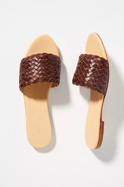 Shop Nisolo Isla Woven Slide Sandals In Brown