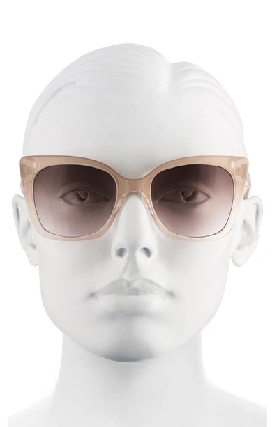 Shop Velvet Eyewear Ada 52mm Cat Eye Sunglasses In Blush