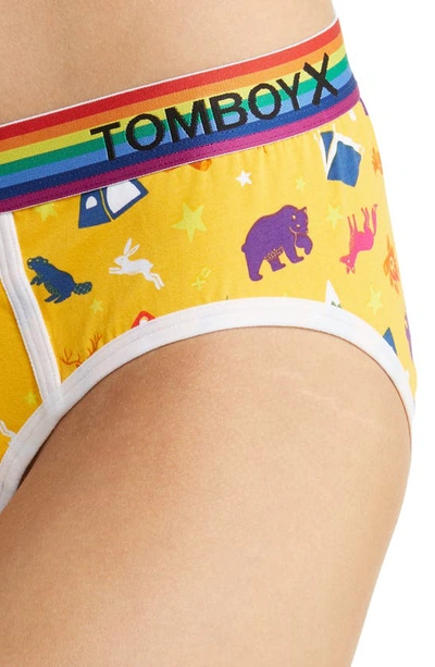 Shop Tomboyx Iconic Briefs In Happy Camper