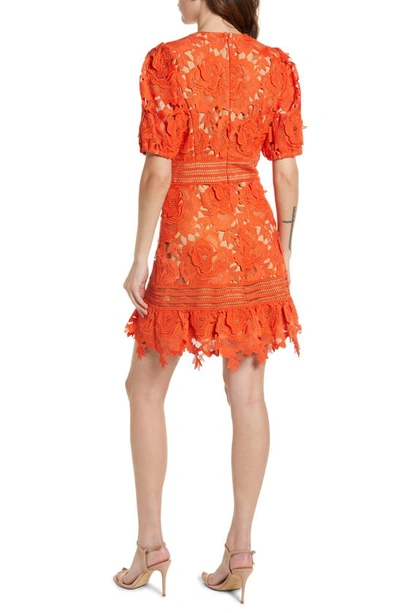 Shop Adelyn Rae 3d Lace A-line Dress In Coral
