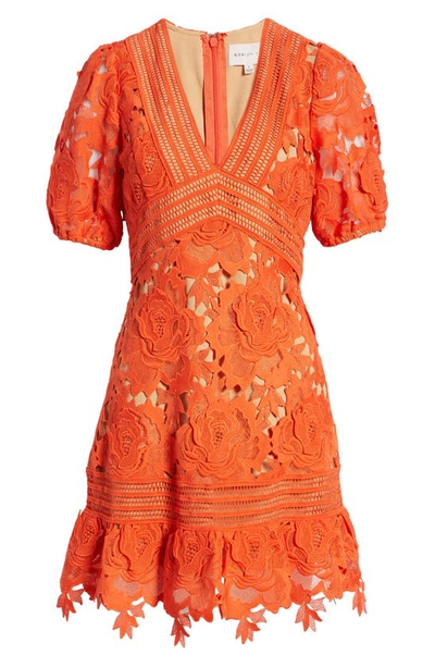 Shop Adelyn Rae 3d Lace A-line Dress In Coral