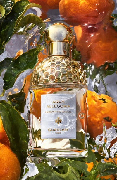 Guerlain Aqua Allegoria Mandarine Basilic Eau De Toilette 4.2 Oz.
