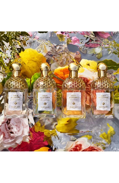Guerlain Aqua Allegoria Flora Salvaggia Eau De Toilette Fragrance Collection