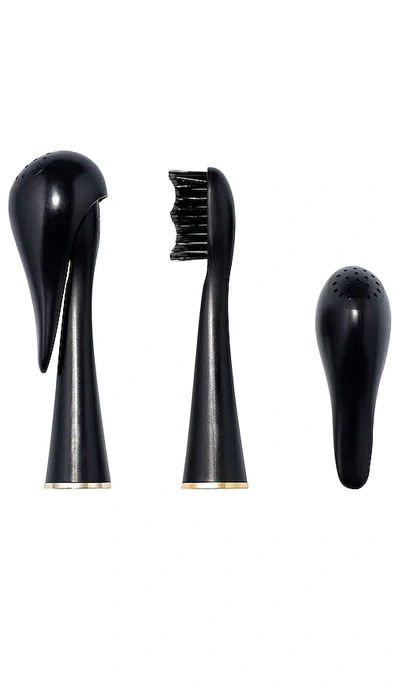 Shop Apa Beauty Soft Brush Heads In Black
