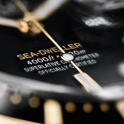 Pre-owned Rolex Sea-dweller, Steel, Yellow Gold, 43mm, Ref 126603, Complete, Unworn 2023