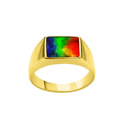 Pre-owned Handmade Ammolite Mens Ring In 14k Gold With Certificate Natural Ammolite 10x8 Rectangle