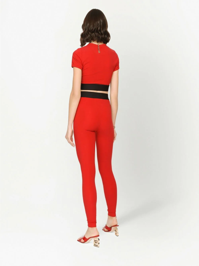 Shop Dolce & Gabbana Logo-waist Leggings In Red