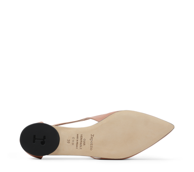 Shop Repetto Typhanie Ballerinas In Nude