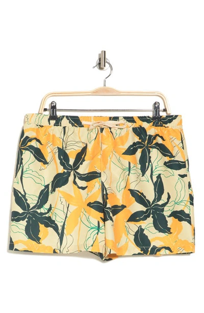 Shop Abound Recycled 5" Volley Swim Shorts In Yellow Reed Paradise Print