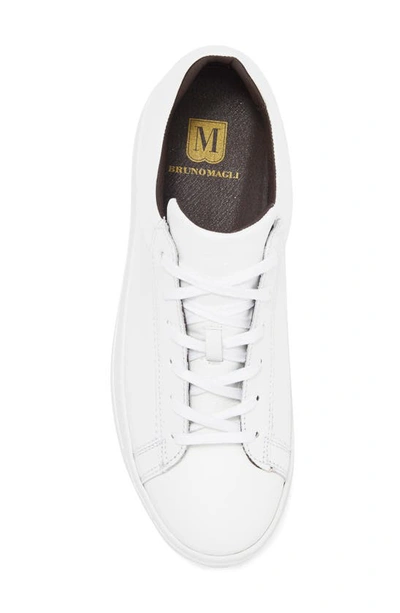 Shop Bruno Magli Diego Sneaker In White