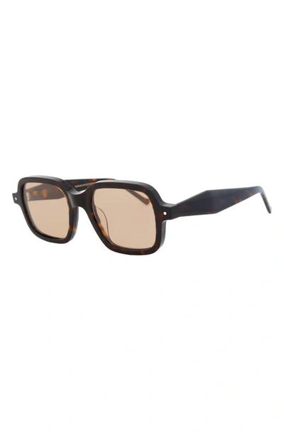 Shop Grey Ant Sext Square Sunglasses In Tortoise/ Tan