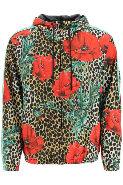 Shop Dolce & Gabbana Poppy Print Hooded Jacket In Multi