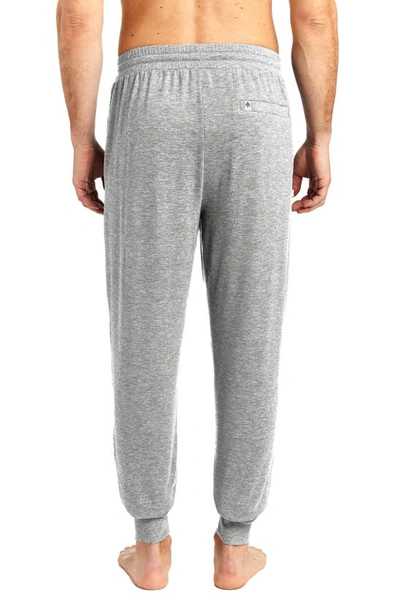 Shop Rainforest Brushed Jersey Lounge Joggers In Grey Heather