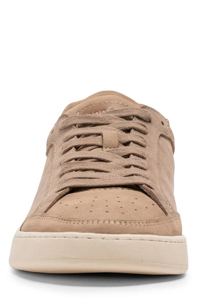 Shop Rodd & Gunn Sussex Street Sneaker In Taupe