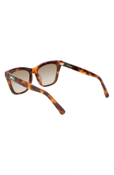 Longchamp Le Pliage 54mm Modified Rectangular Sunglasses In Havana
