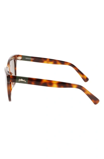 Longchamp Le Pliage 54mm Modified Rectangular Sunglasses In Havana