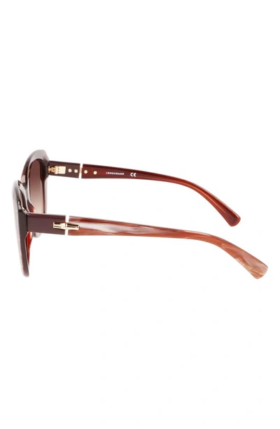 Longchamp Roseau 54mm Butterfly Sunglasses In Red Marble