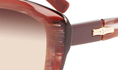 Shop Longchamp Roseau 54mm Butterfly Sunglasses In Red Marble