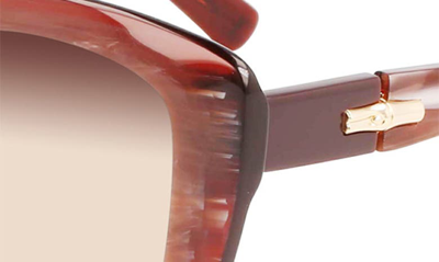 Longchamp Roseau 54mm Butterfly Sunglasses In Red Marble