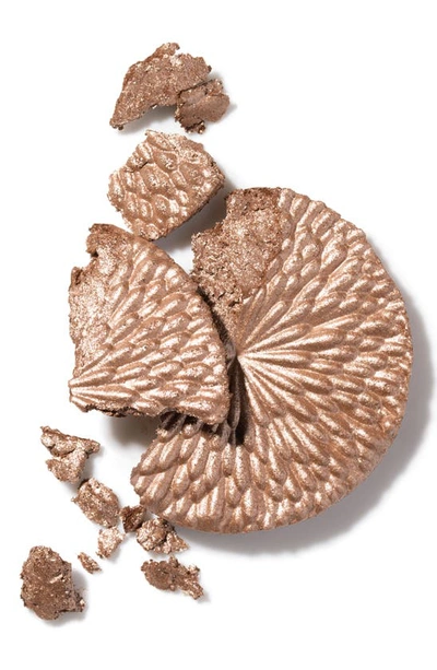 Chantecaille Sunbeam Cheek And Eye Shade