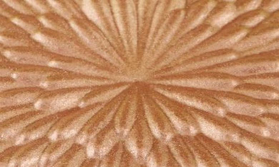 Chantecaille Sunbeam Cheek And Eye Shade