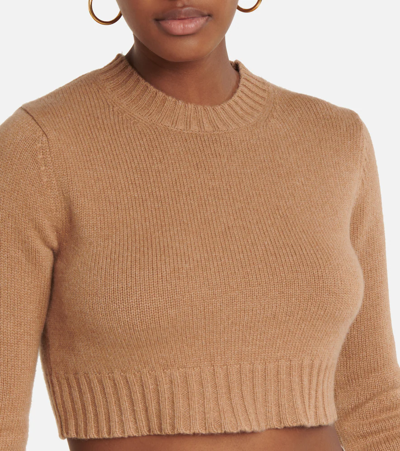 Shop Max Mara Eureka Cropped Cashmere Sweater In Noce