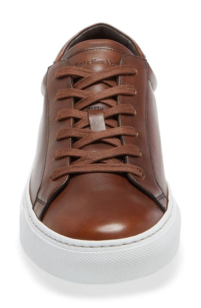 Shop To Boot New York Sierra Sneaker In Z/dnubutterfly Cognac Ant