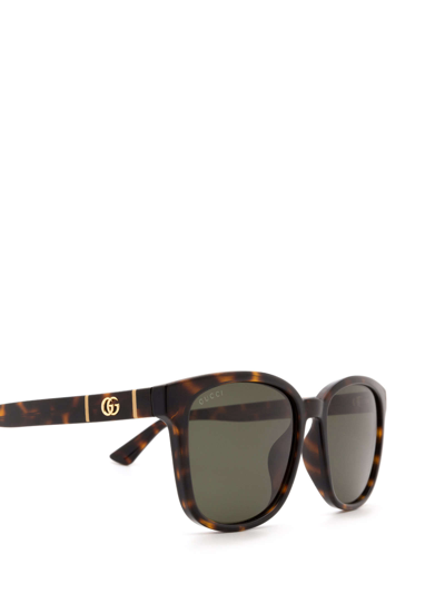 Shop Gucci Gg0637sk Havana Sunglasses