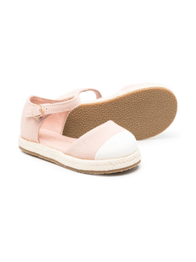 Shop Age Of Innocence Round-toe Ballerina Shoes In Pink