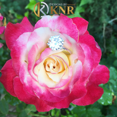 Pre-owned Knr Inc 14k White Gold 5.00 Carat Moissanite Solitaire Ring Six Prong Propose Promise
