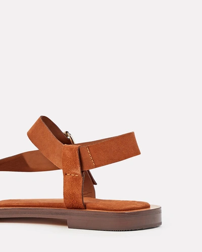 Shop A.emery Hilla Suede Thong Sandals In Brown