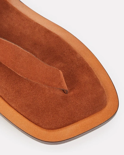 Shop A.emery Hilla Suede Thong Sandals In Brown
