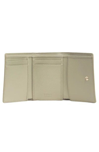 値引 DAFNE DAFENE シンプル M TRI-FOLD コンパクト MARMO c グレー