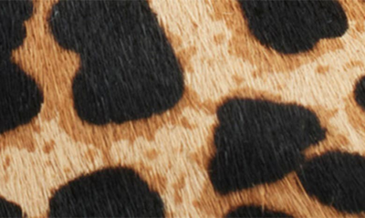 Shop Dkny Mabi Pointed Toe Pump In Leopard Calf Hair