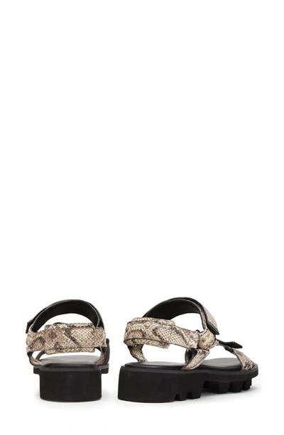 Shop Allsaints Atlanta Sandal In Taupe Grey